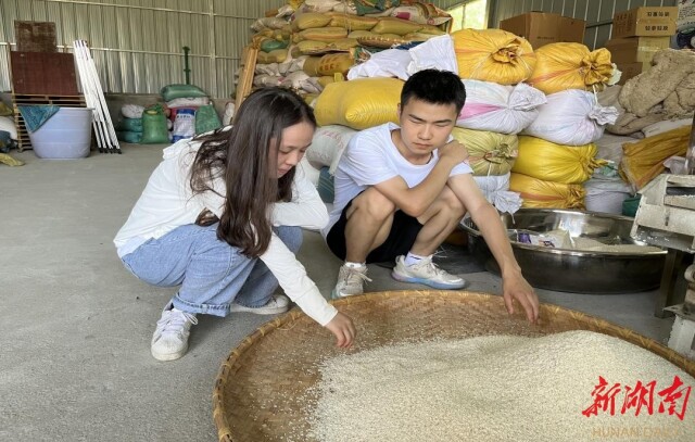 湖南师范大学树达学院“青春之我”社会实践团开展甜酒产业调研