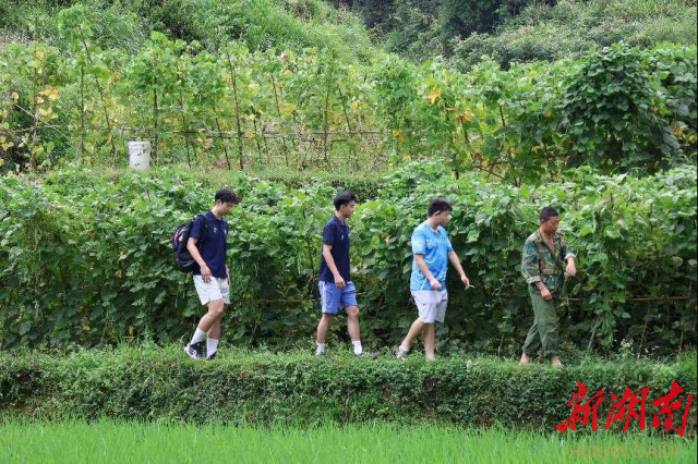 湖南师范大学“领梦者·弘帆”暑期社会实践团深耕渣坪乡，探寻“三农”解题之道