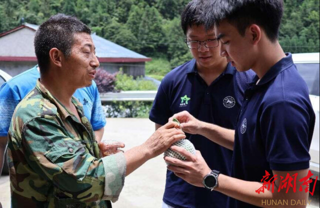 湖南师范大学“领梦者·弘帆”暑期社会实践团深耕渣坪乡，探寻“三农”解题之道